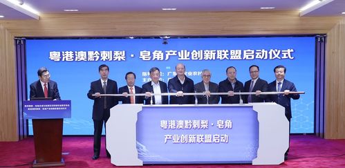 王老吉刺檸吉再出新品,廣藥牽頭成立相關產(chǎn)業(yè)創(chuàng)新聯(lián)盟